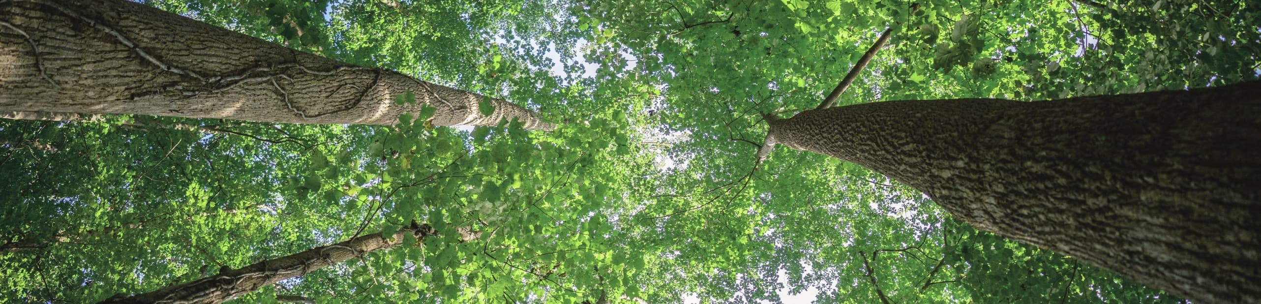 18新利LUCK·(中国区)官方网站